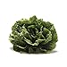 Romaine Lettuce, 1 Each