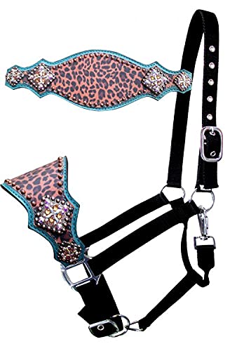 Showman Nylon Bronc Halter w Teal Leather & Cheetah Print Noseband