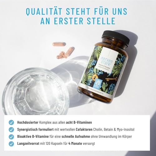 Vitamin B Komplex (B1-B12) mit 3 Kofaktoren aktiv - Alle 8- B Vitamine - B Vitamin Komplex hochdosiert mit Cofaktoren - Nervenstark *