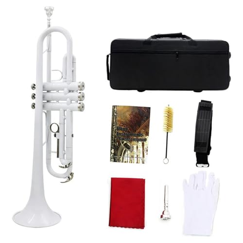 gybgS҃X^[^[Lbg gybgvtFbViyǊyO[uzXgbvP[X^Jgybg