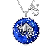 Plesitep Collar de Tauro de plata de ley 925 con colgante de Tauro, medallón de horóscopo, gargantilla de moneda, delicado collar del zodiaco Tauro, collar de cumpleaños para mujer