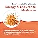 Organic Cordyceps Mushroom Extract - 70% Beta Glucans - Highest Active Nutrient Levels, Max Potency Cordyceps Capsules, US Grown + Ultrasonic Extraction - Performance, Immunity & Energy - 60 Capsules