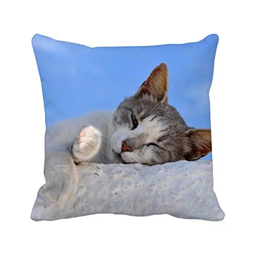 Housse de coussin chaton compagnon douceur pour décorer une chambre - 2