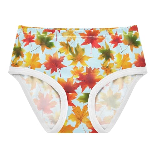 Joisal Autumn Maple Leaves Red Girls Underwear Toddler 2t Cotton Panties Little Girl Fancy Undies Kids Briefs