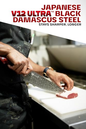 Dalstrong Chef Knife - 9.5” Scorpion Series - Exclusive Japanese V12 Ultra Steel - Black Damascus Chef Knife - Black & Red Honeycomb Resin Handle -Scorpion Kitchen Knives w/Chef Knife Sheath