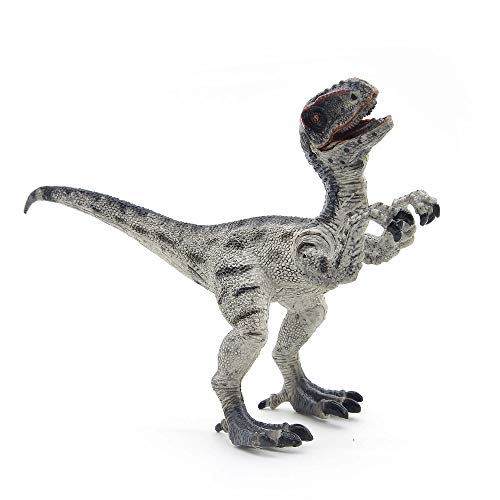 Coyka - Dinosaur Toys Park - Dino World Model - Jurassic Action Figures - Velociraptor Great Predator – Black And White #TOP7