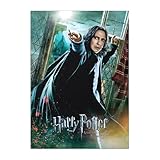 Displate Offiziell Harry Potter MetallPoster Magnetische 