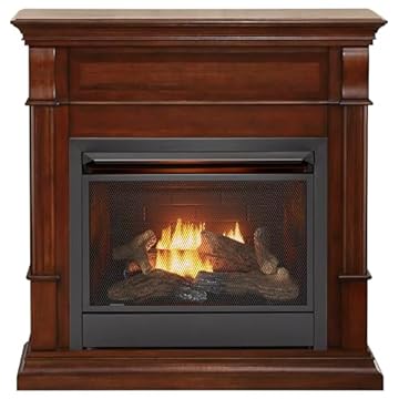 natural gas freestanding heater