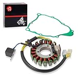Stator & Gasket Compatible with Yamaha Timberwolf 250 YFB250 2WD 4WD 1994-2000 Bear Tracker 250 YFM250 2WD 1999-2000 4BD-85510-20-00