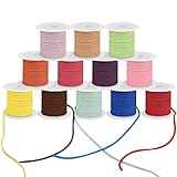 COLORIDO Y LLAMATIVO: El set de cinta ante esta hecho de cuero de ante sintético súper suave y trae 12 colores llamativos. Los colores en el kit para hacer pulseras son lavanda, beis, verde lima, naranja, purpura, rosado claro, amarillo, rosado, azul, verde menta, marrón y rojo. Como vienen en un rollo, es fácil sacar solamente la cantidad necesaria. Como están hechos de ante sintético, es apto para los veganos.