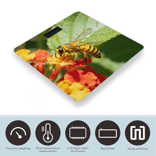Báscula digital de baño Yellow Bee con pantalla LCD miniatura 3