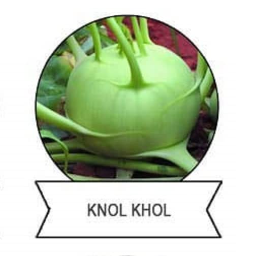 VibeX F1 Hybrid Knol Khol,Kholrabi Seeds-250 Seeds (B0B9Y447ZY) Amazon Price History, Amazon Price Tracker