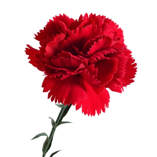 Hitburu Claveles Artificiales,Flores de Clavel de Seda | Decoración Floral Realista Perdurable para Jarrón de Dormitorio Salón Porche Día de la Madre Jardín Pasillo Cumpleaños Exteriores e Interiores