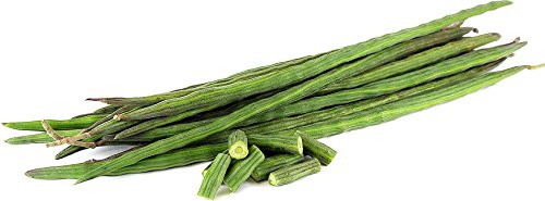Drum Stick Seeds (Pack Of AVG 50-100 Seeds x 1 Per Packet) 1 Packet Of Drum Stick-image-27