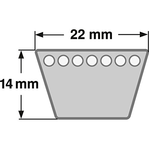 Cinghia trapezoidale 22 x 3810 Li – C 150 ConCar