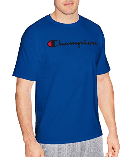 Champion Men's Classic Jersey Script T-Shirt, Surf The Web/Champion Script, S
