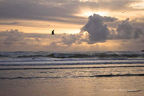 Ocean Photography Unframed Christian Wall Art Peach Blue Gray Beach Decor For Home Or Office Large Nature Photographic Print #TOP1