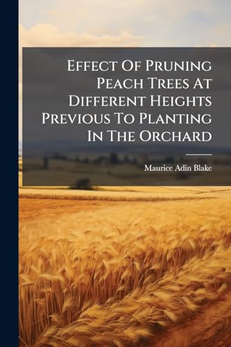 Effect Of Pruning Peach Trees At Different Heights Previous To Planting In The Orchard