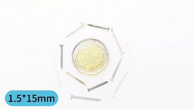 Image of newlng 500pcs Small Nail Round Head Tiny Nails String Art Nails Hand-Made Hardware Accessories Fasteners Mini Nail 1.5mm X 25mm /0.06 inchX1 inch(DXL) Silver