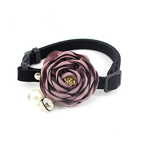 PETFAVORITES Ỏ L ̎ lN^C - xp[tXG[hqlbNX - `[L[  RX`[ ߑANZT[ ߉\ŃnhCh (p[vATCY S)