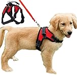 FUNKEEN PET HOUSE No-Pull Padded Adjustable Puppy Dog Training Walking Soft Harness Vest (M, Red)