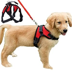 Dog Harness Mesh Breathable Comfortable Pet Vest No Pull Adjustable Soft Padded Dog Power Strap (S, Red)