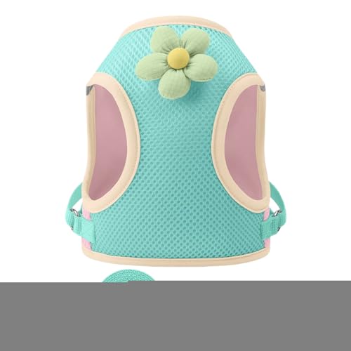 pxXgn[lX | ˑf qL n[lX - ʋC ybgp q Xgbv U   r[` Lv AEghA s oRp