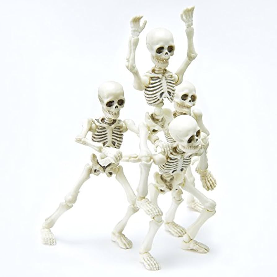 re-MENT Pose Skeleton フィギュアセット Amazon.com: Re-Ment Pose Skeleton Human 01 moveable 1/18