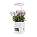 Pianta LED Coltiva Luce per Interni, Multifunzionale Smart Flowerpot Herb Garden Dimmerabile Coltiva Spettro con Umidificatore, per Piante Varie, Rosmarino
