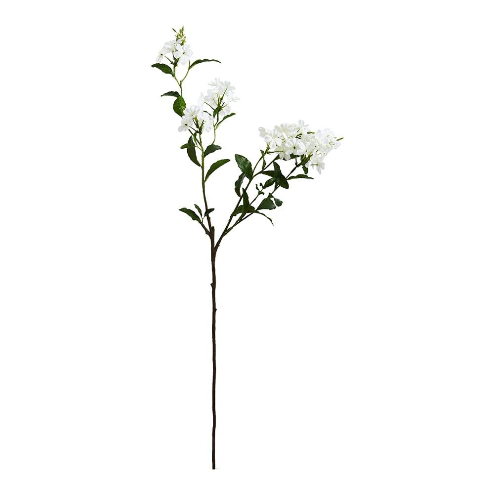 homes r us هومز أر أسSingle Plumbago Flowe Stem, White & G een - 85 cm