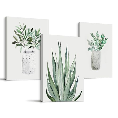 MHARTK66 Cuadros Aloe Vera Plantas Verdes, Cuadros Decoracion Salon Modernos Decoracion Dormitorios Comedor Oficina Pasillo Cocina y Baño