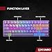 HK GAMING GK61 60% v3 | Hotswap Mechanical Gaming Keyboard | 61 Keys Multi Color RGB LED Backlit for PC/Mac Gamer | US Layout (Lavender, Gateron Optical Speed Yellow)