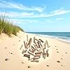 20 Pcs Natural Driftwood Pieces Branch Slices Craft Sticks Beach Decor for for DIY, Craft Sticks, Craft Supplies Craft Sticks Crafts and Sewing #1