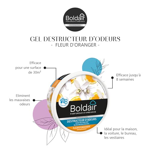 Boldair - Gel Distruttivo Dell'odore Fiore D'oranger - Neutralizza Gli Odori - Profumo - Prodotto Gel Solido - Multi Applicazione - Durata 8 Settimane - 300 G - Fabbricazione Francese - 2