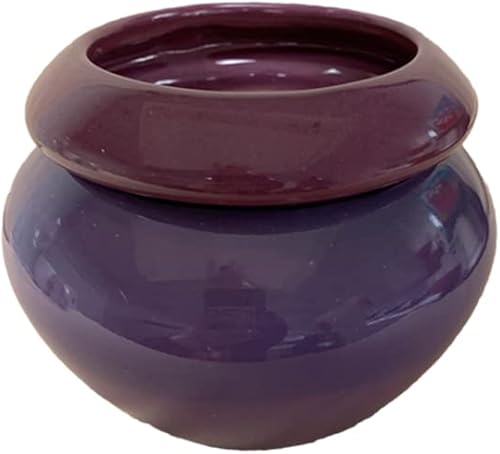 Maryland China Company Maceta de riego automático en forma de urna de apertura de 3.75 pulgadas color morado tricolor
