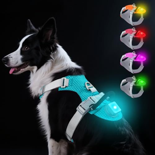 Taglory Light Up Dog Harness with Airtag Holder, No Pull LED Dog ...