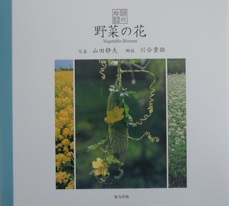 野菜の花 (花の絵本 4)