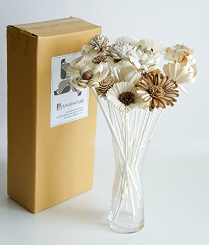 21 Mixed Sola Flower Reed Diffuser For Home Fragrance Aroma Oil By Plawanature #TOP1
