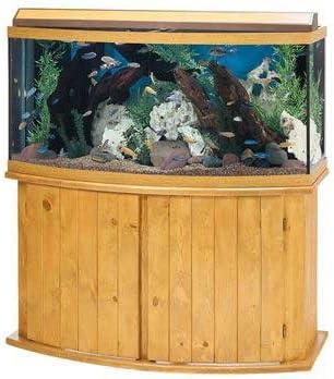bow front fish tank