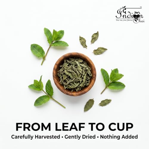 Image of The Indian Chai - Organic Peppermint Tea 250g Bulk Pack | Caffeine-Free Herbal Aromatic Mint Infusion | Refreshing Mint Burst for Night Time Relaxation