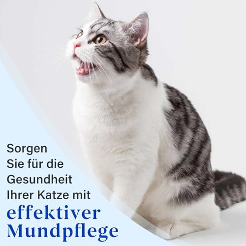 Oivolii Zahnpasta Katze mit Thunfischgeschmack (30g) und 2 Zahnbürsten | Katzen Zahnpflege Set | Sanfte Formel, frischer Atem und gut für die Zähne
