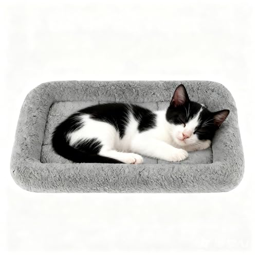 PETLESO Katzenbett Ultraweiche Katzensofa rutschfeste Unterseite Katzenkissen flauschig für Katze/Hasen(Grau), 38CM x 26CM