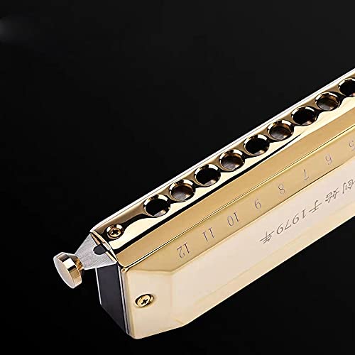 Harmonica Harmonica 12 et 16 orifices orgue C phosphore bronze anche instrument clé - Les Beatles, Paul McCartney, John Lennon, RIngo Starr, George Harrison Harmonica Harmonica 12 et 16 orifices orgue C phosphore bronze anche instrument clé – Image 7