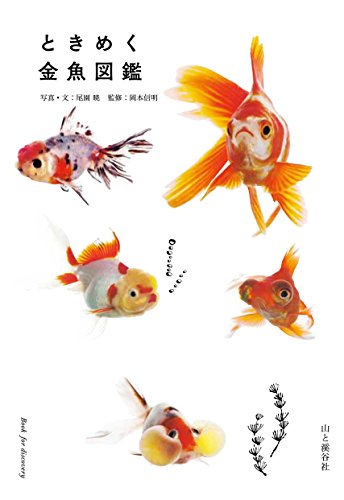 ときめく金魚図鑑 (ときめく図鑑)