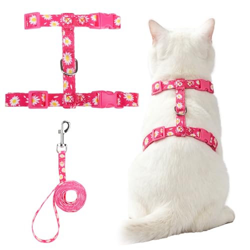 PUPTECK Adjustable Cat Harness and Leash Set Escape Proof Kitten Strap Collar for Walking Travel, Daisy Pattern