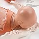 3B Scientific Menschliche Anatomie - Geburtsstadien Modell + kostenlose Anatomie App - 3B Smart Anatomy, VG393