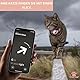 Croc-Cat airtag Katzenhalsband, Zubehör Kompatibel mit Apple Airtag, Halsband mit Sicherheitsschnalle Anti Strangulation für Kätzchen und kleine Hunde, GPS airtag Nicht inbegriffen!