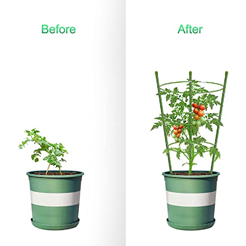 Mimeela Garden Plant Support Tomato Cage, Upgrade Trellis for Climbing Plants, Plant Trellis Kits (2 Pack-18)