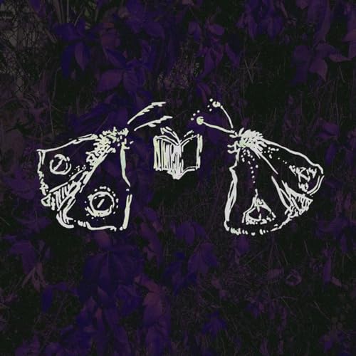 книжкові нетлі cover art