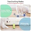 seagi Interactive Dog Toys – Durable Automatic Bouncing & Vibrating Interactive Dog Ball for Smart Play, Motion-Activated Moving Dog Toy for Small/Medium/Large Dogs,USB Rechargeable (Blue) #2